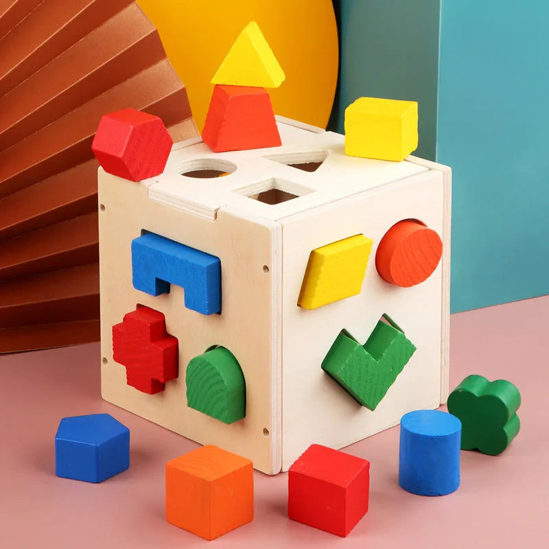 Montessori 15 Hole Intelligence Box Geometric Shapes 3D Puzzle Early Education Three-Dimensional Wooden Paired Building Block