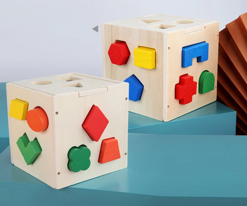 Montessori 15 Hole Intelligence Box Geometric Shapes 3D Puzzle Early Education Three-Dimensional Wooden Paired Building Block