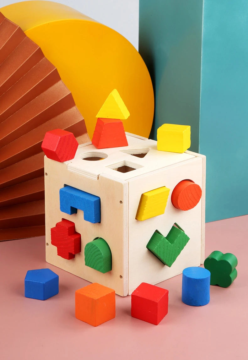 Montessori 15 Hole Intelligence Box Geometric Shapes 3D Puzzle Early Education Three-Dimensional Wooden Paired Building Block