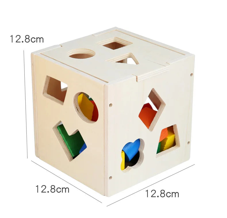 Montessori 15 Hole Intelligence Box Geometric Shapes 3D Puzzle Early Education Three-Dimensional Wooden Paired Building Block