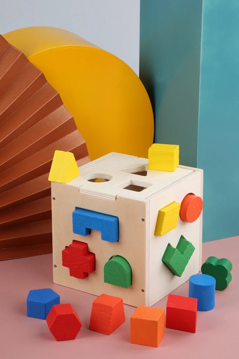 Montessori 15 Hole Intelligence Box Geometric Shapes 3D Puzzle Early Education Three-Dimensional Wooden Paired Building Block