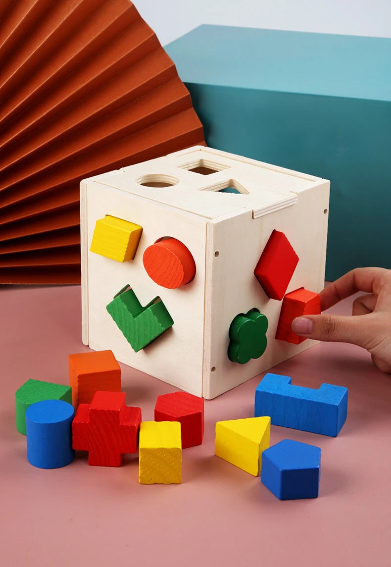 Montessori 15 Hole Intelligence Box Geometric Shapes 3D Puzzle Early Education Three-Dimensional Wooden Paired Building Block